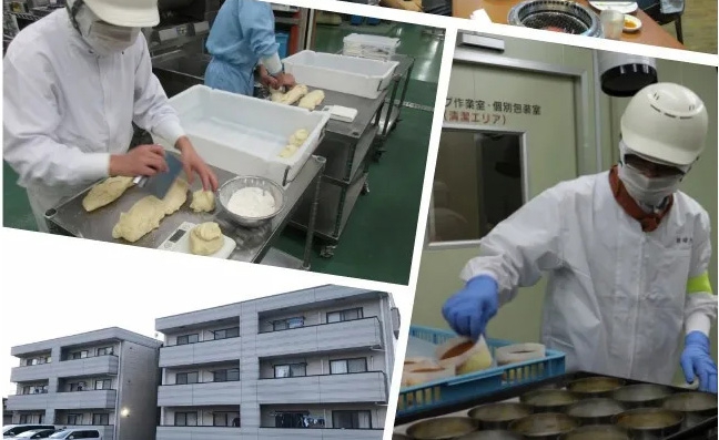 日本2020年8月新單匯總！